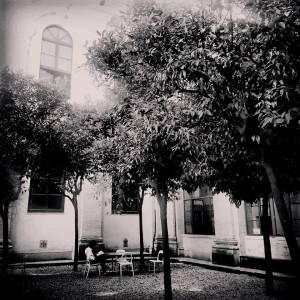 Roma - Casa delle Letterature