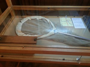 Il retino di Nabokov